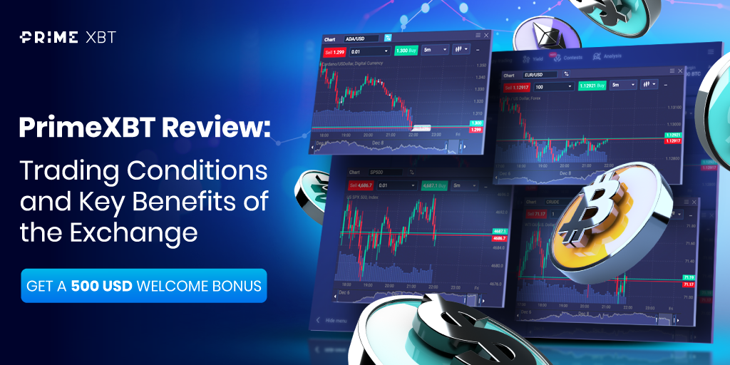 Understanding Trading A Comprehensive PrimeXBT Risk Disclosure